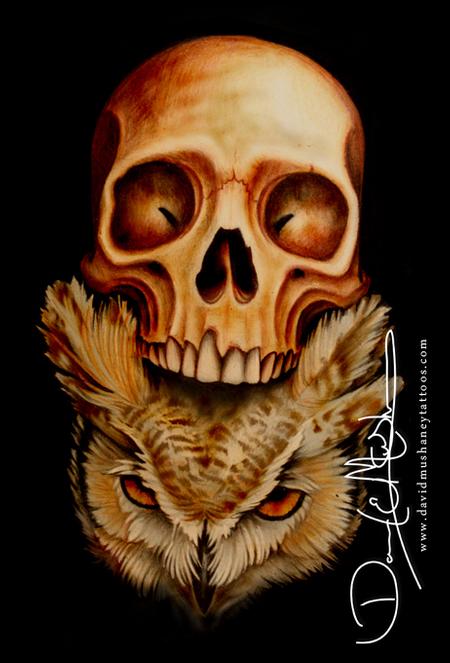 Tattoos - Owl and Skull Drawing - 69505